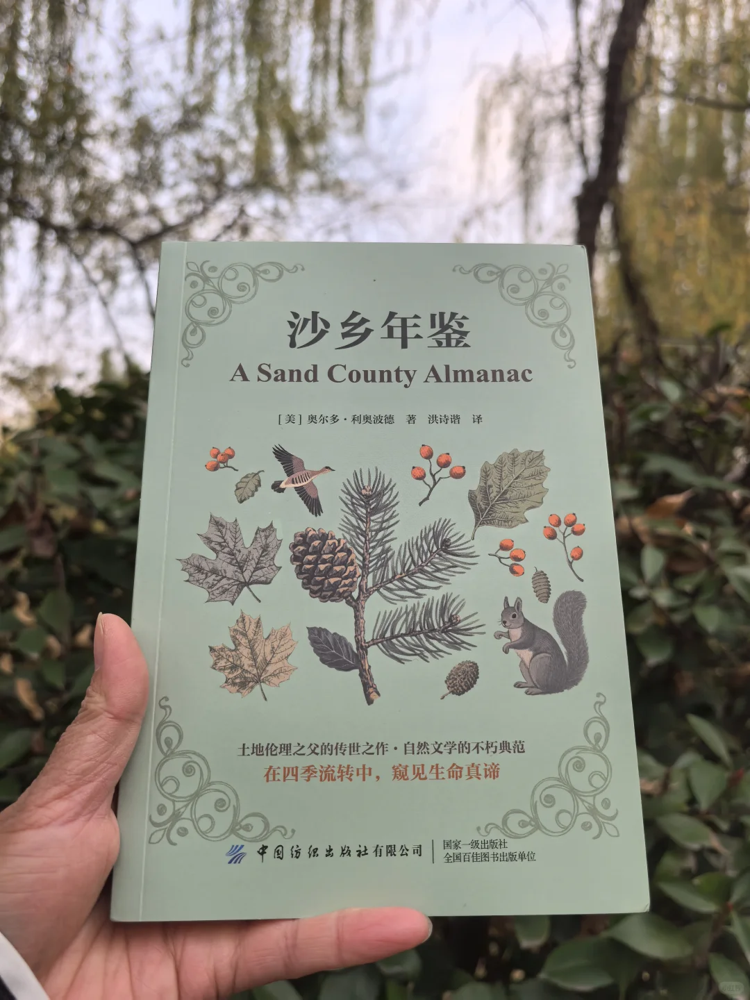 沙乡年鉴