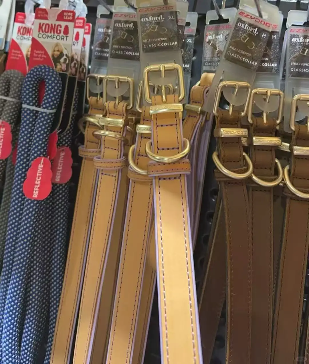 ??澳洲连锁宠物探店?