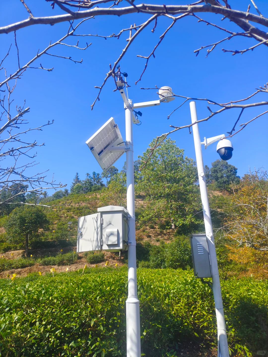 未来农业发展方向智慧农业将会是农业新革命