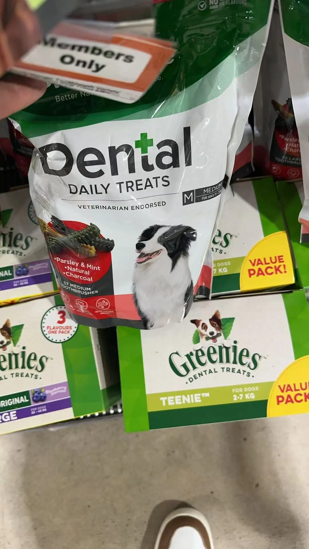 ??澳洲连锁宠物探店?