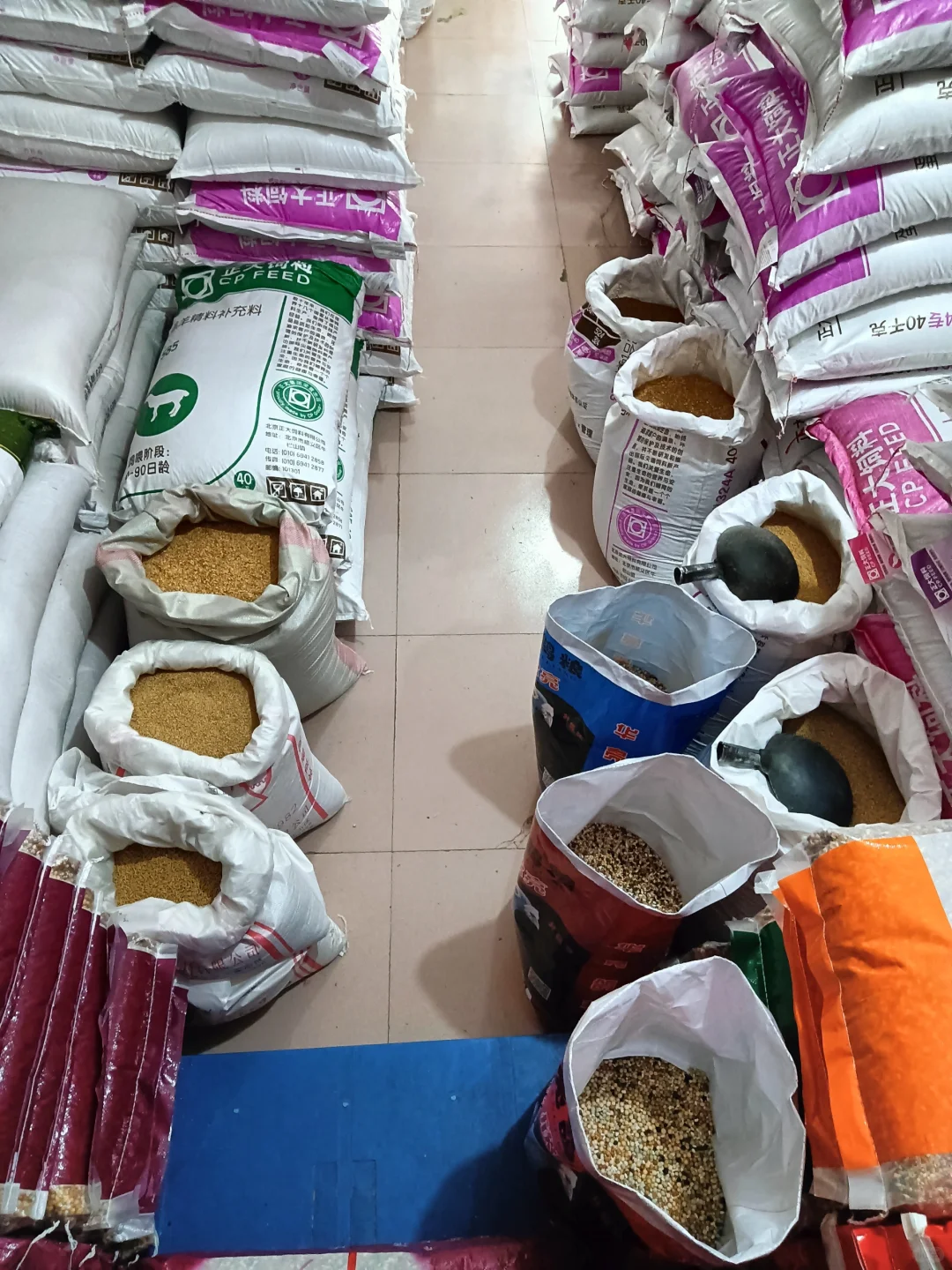 想要鸡产蛋稳定就用这款饲料