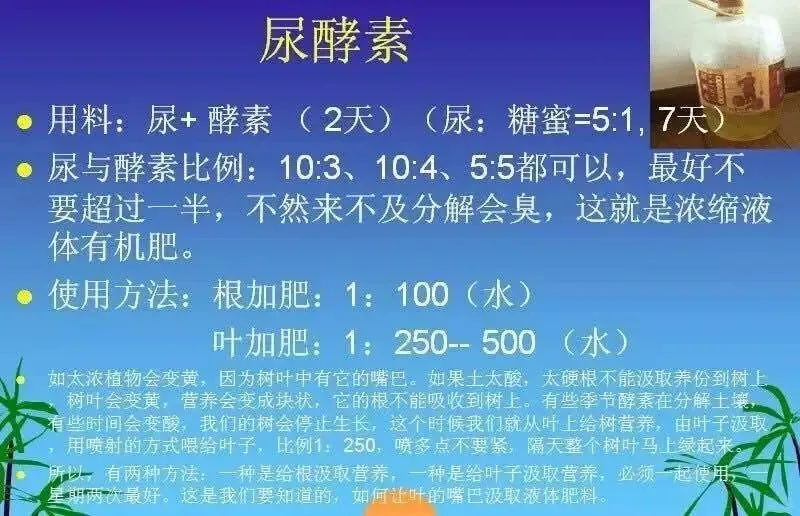 自然农耕中修复土壤的方法举例