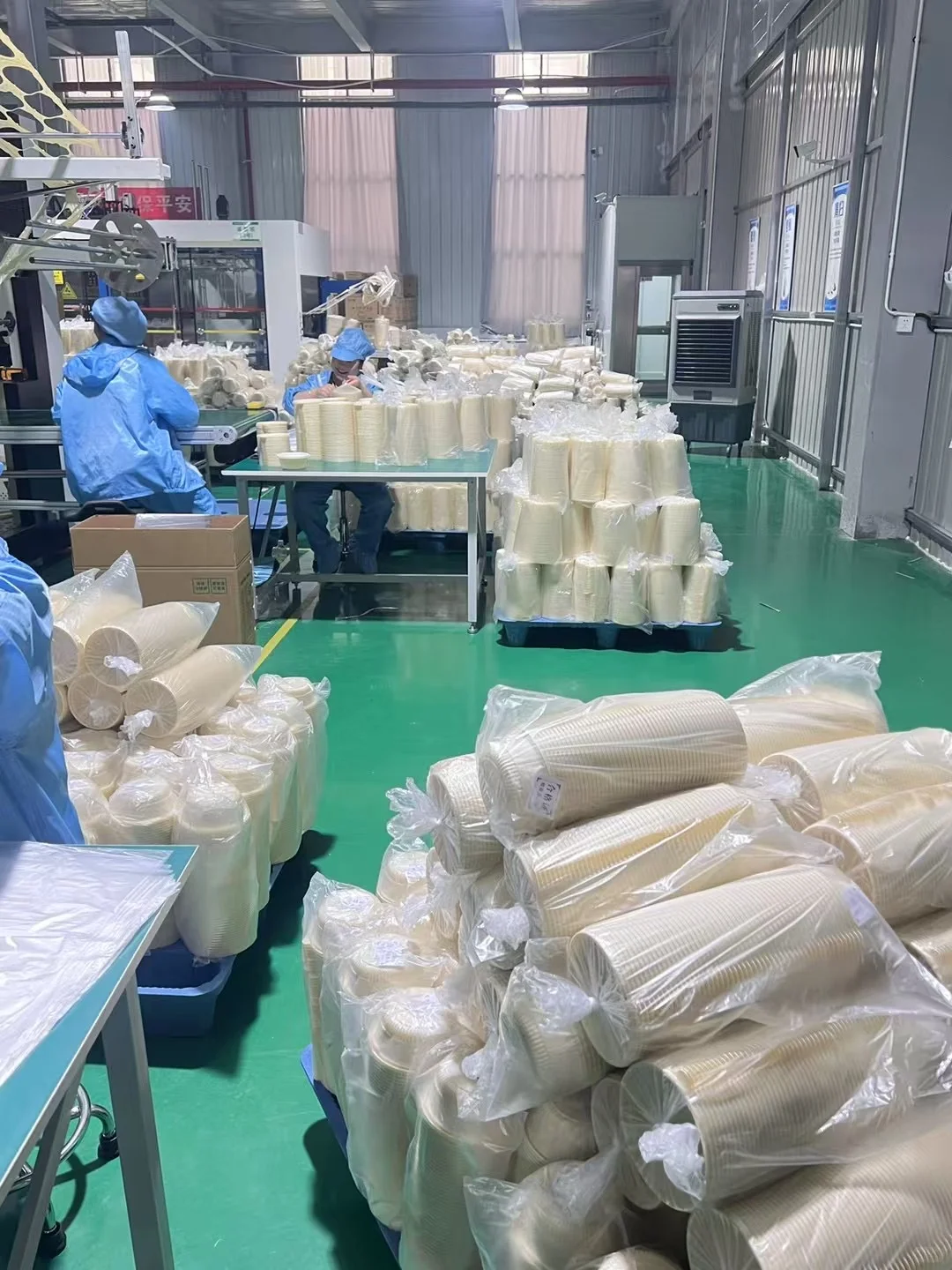 可降解餐盒的生产揭㊙️价格实惠到惊人