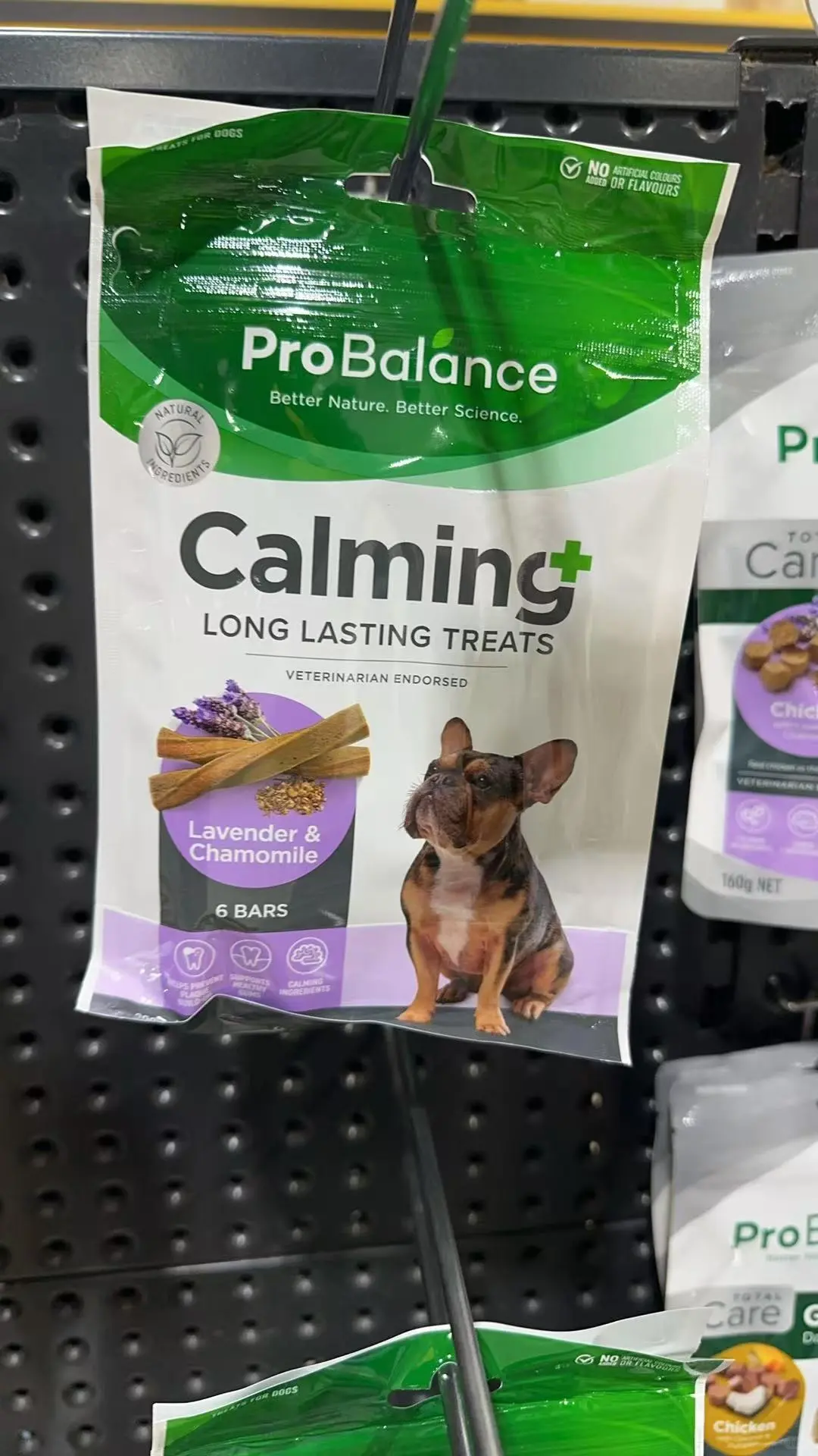 ??澳洲连锁宠物探店?