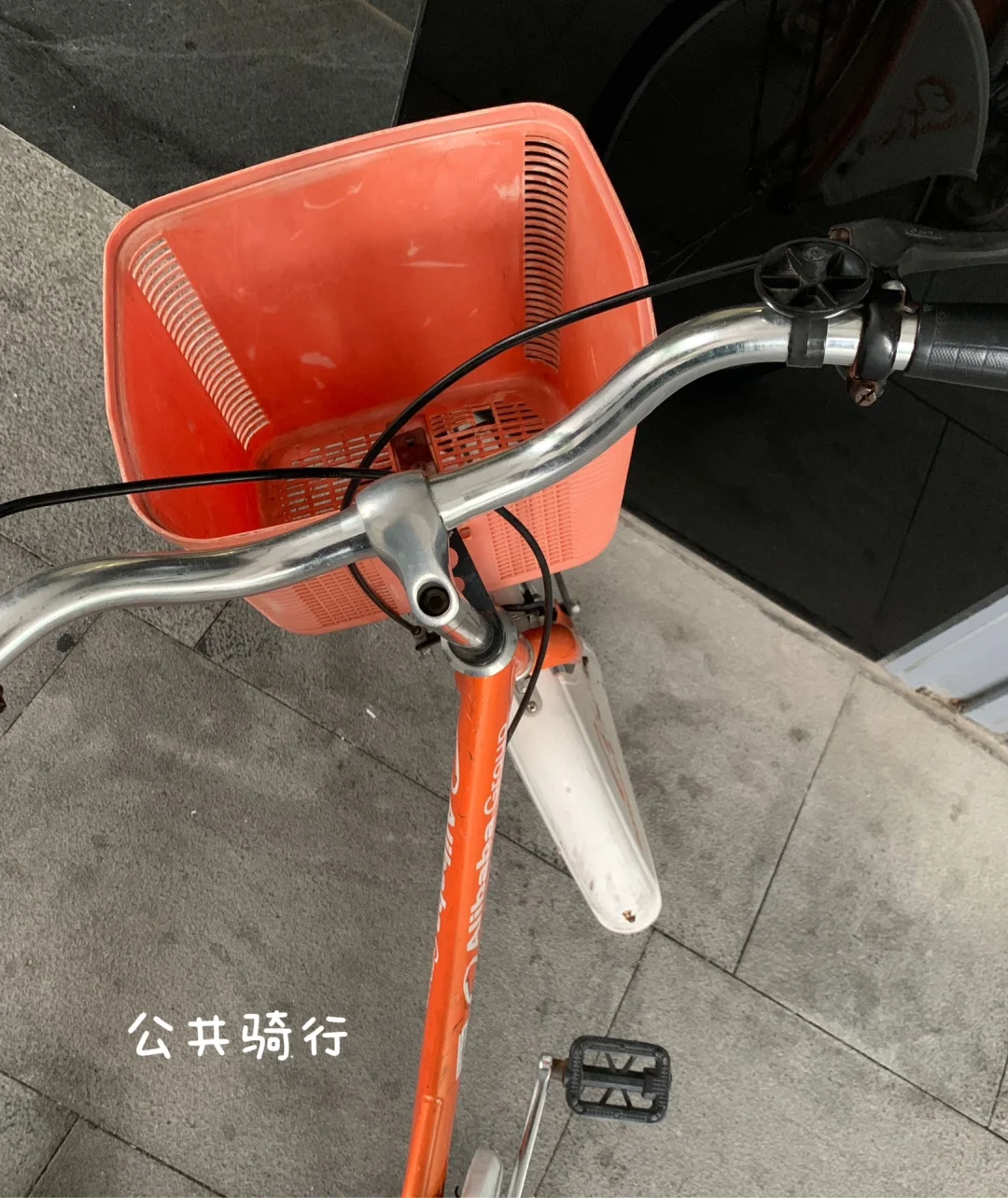 可持续生活｜日常低碳行为打卡♻️