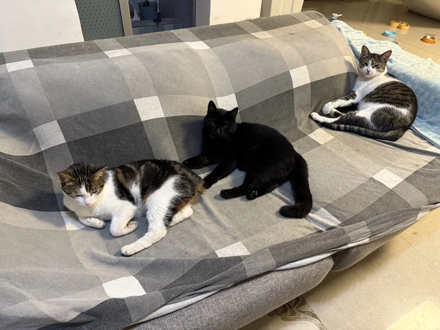 遍地黄金的非洲也会让你叫苦不迭