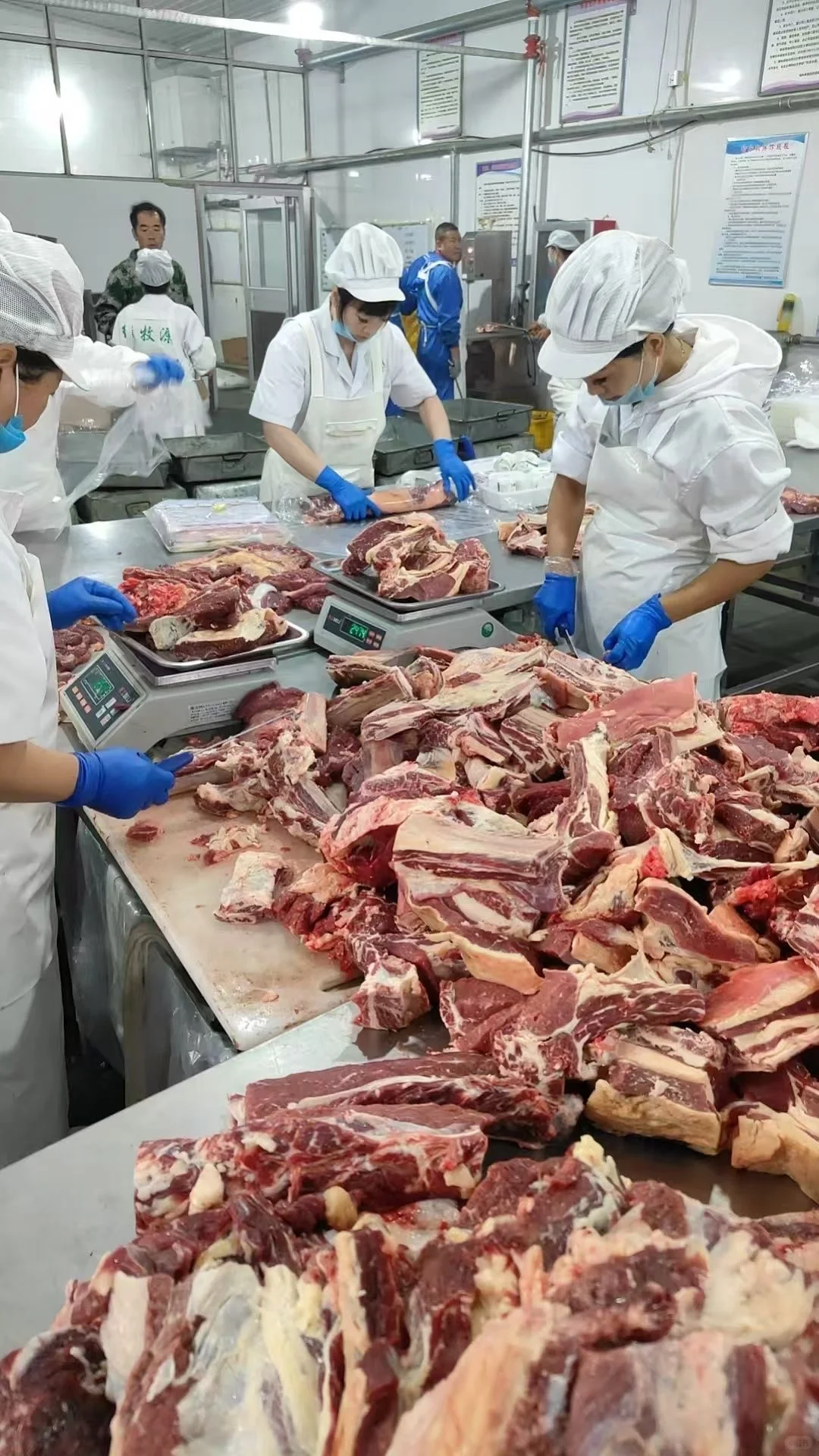 内蒙锡盟牛羊肉直发，全国冷链发货