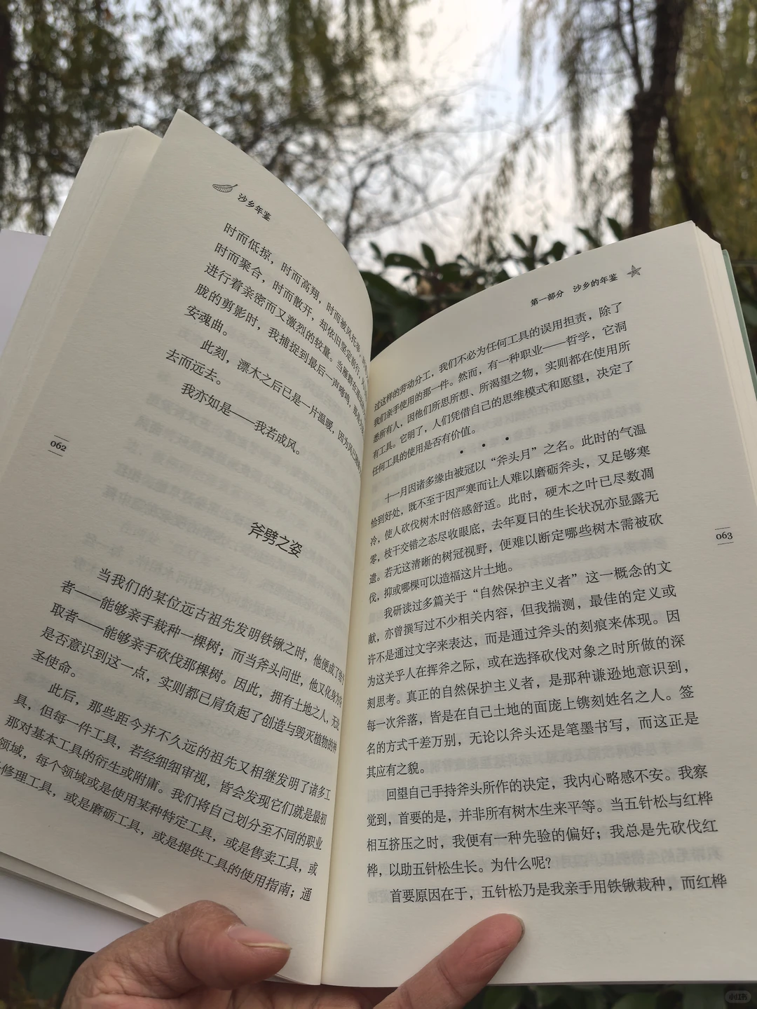 沙乡年鉴