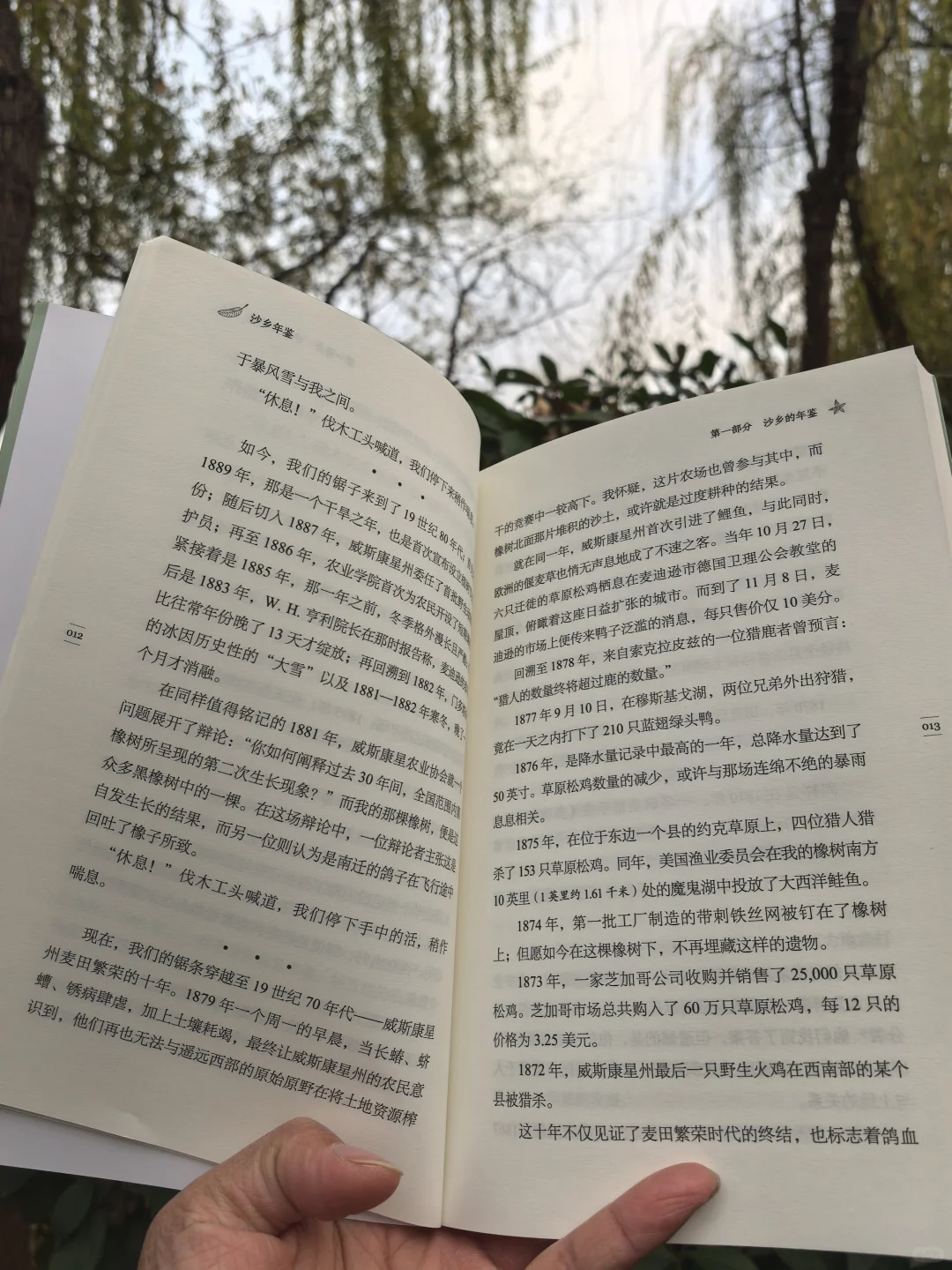 沙乡年鉴