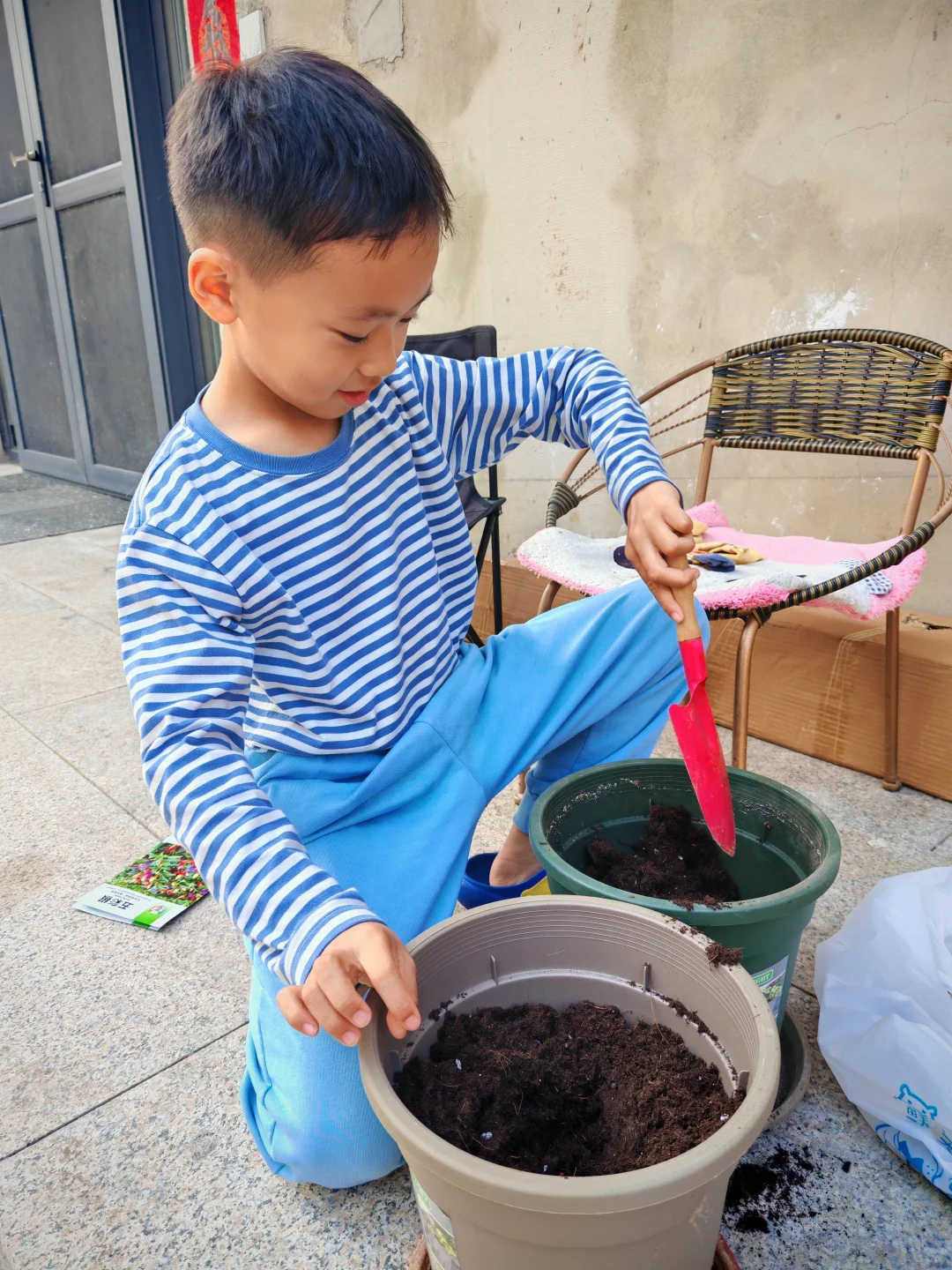 夏天到了，种点花吧！