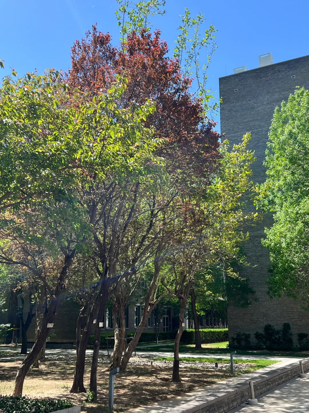 低碳出行 绿色心动