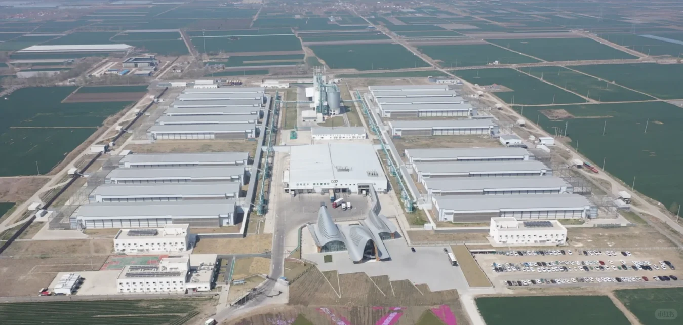 鲁畜优品探秘山东鸡蛋产业的高质量发展之路