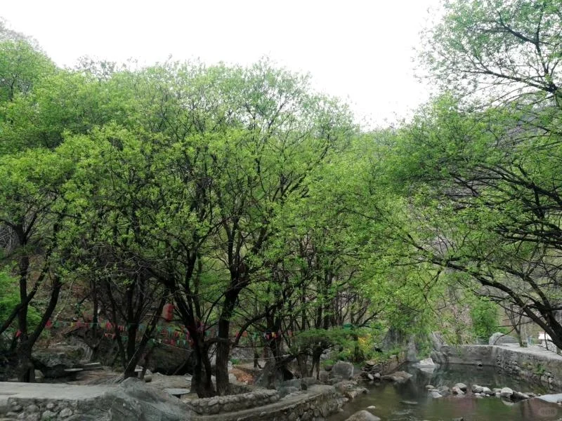 愿你心怀希望一路抵达繁华盛景