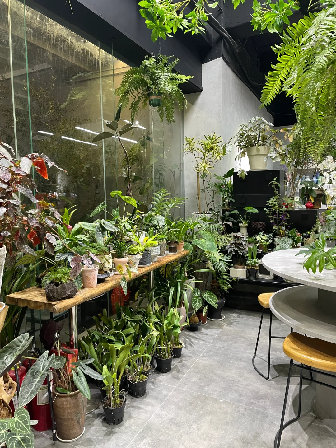 这家花店我太爱了！?