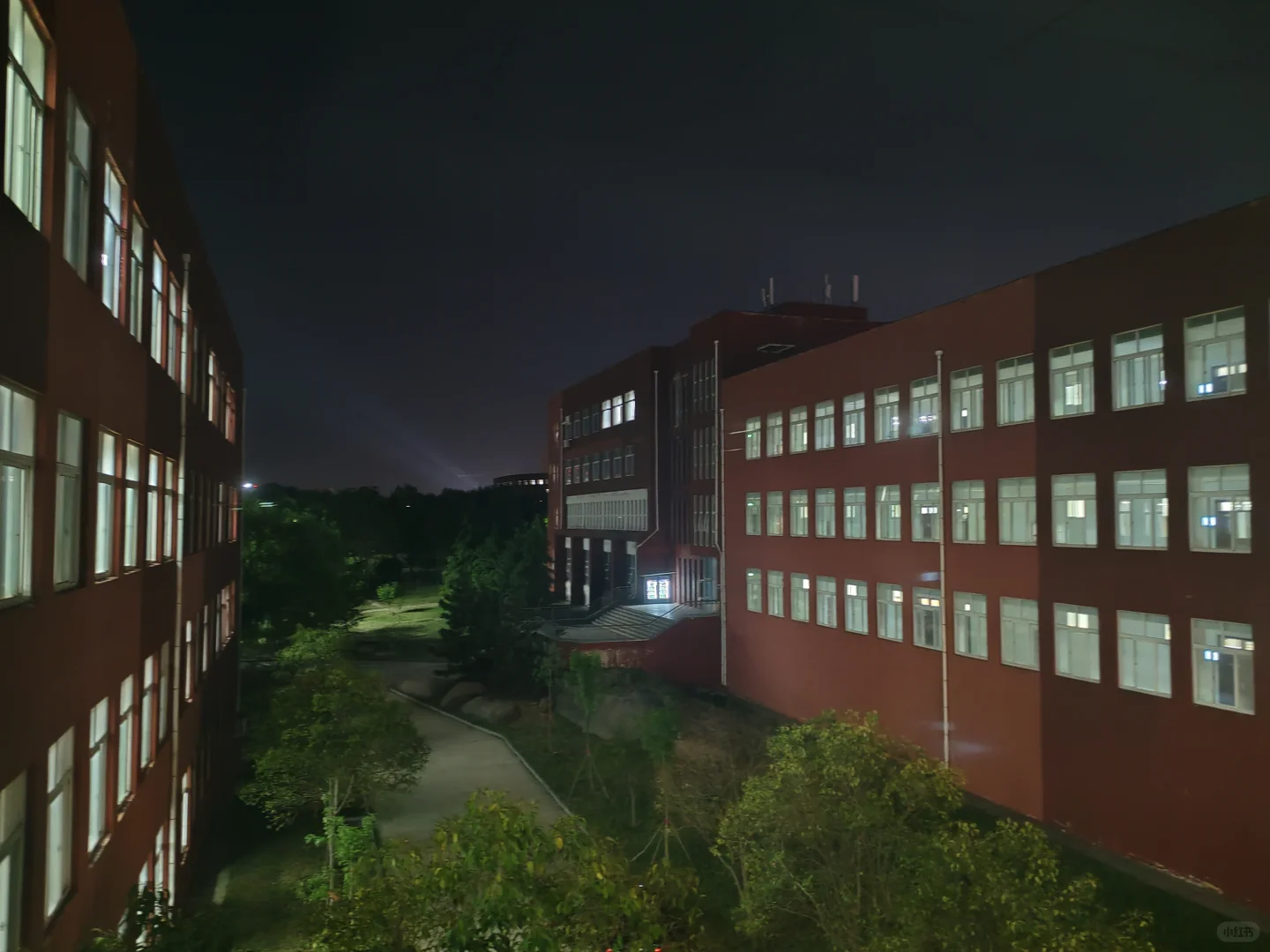 古文字学学习打卡