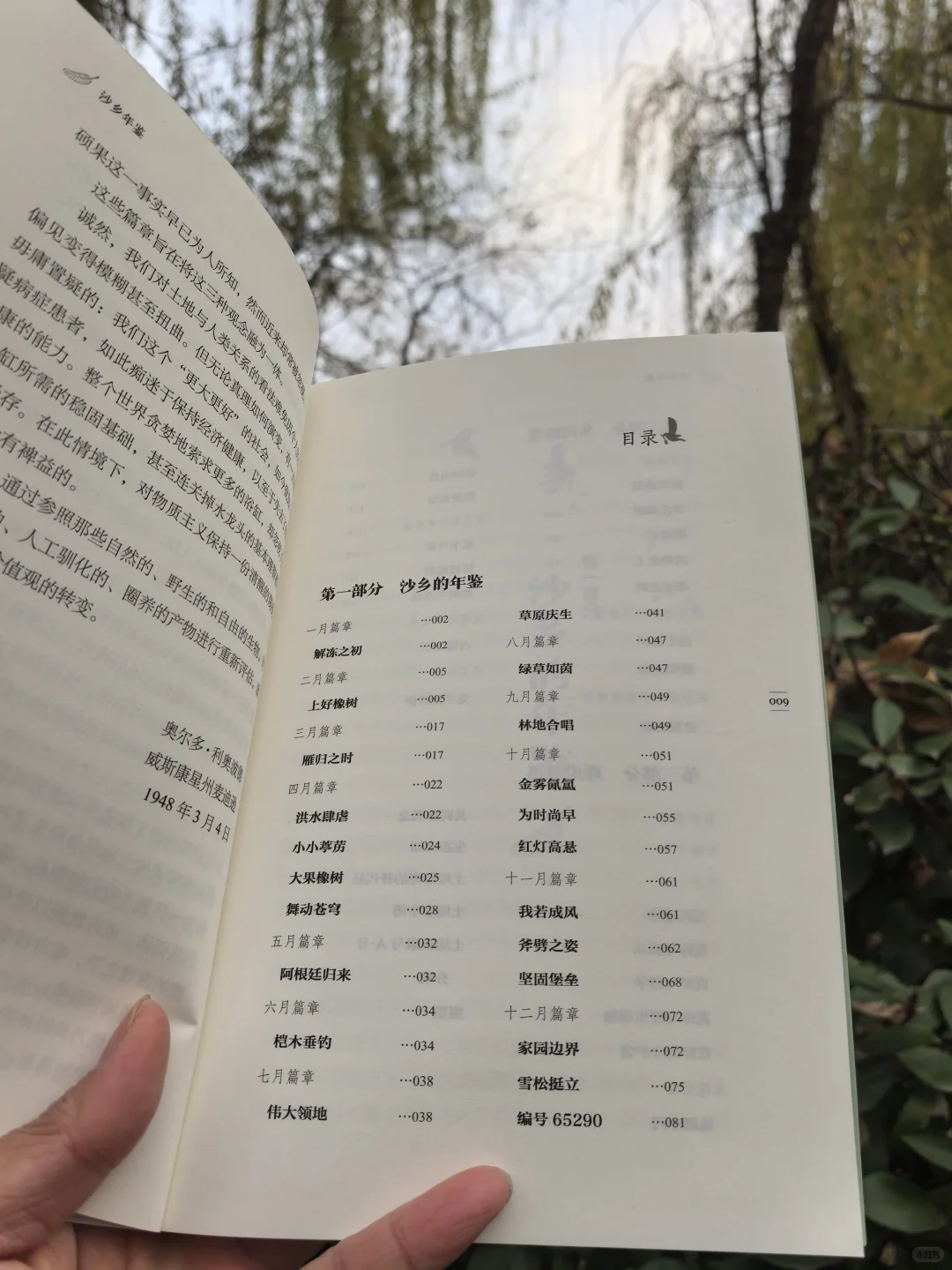沙乡年鉴