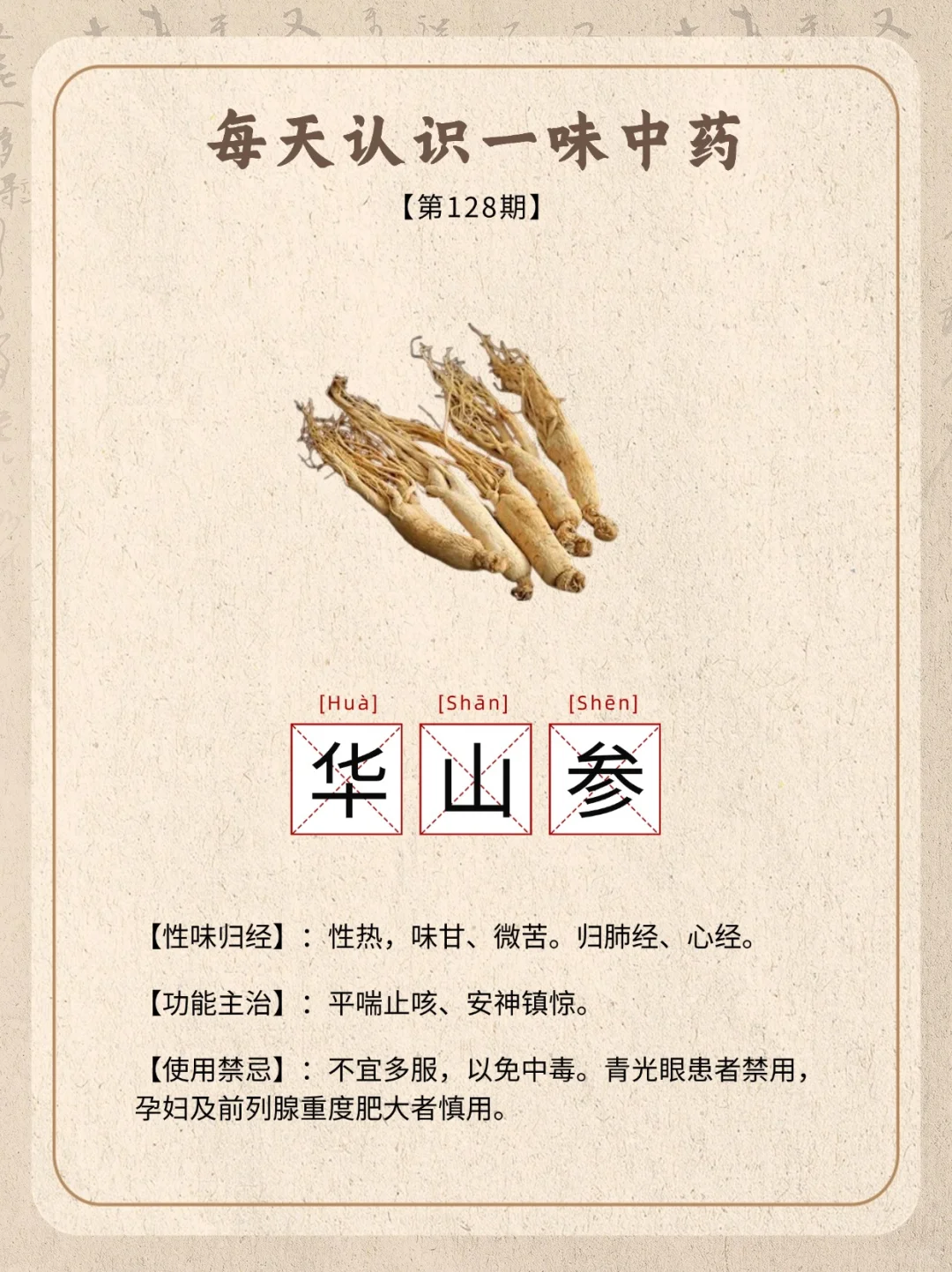 ? 华山参：熬夜党必备，秒回血