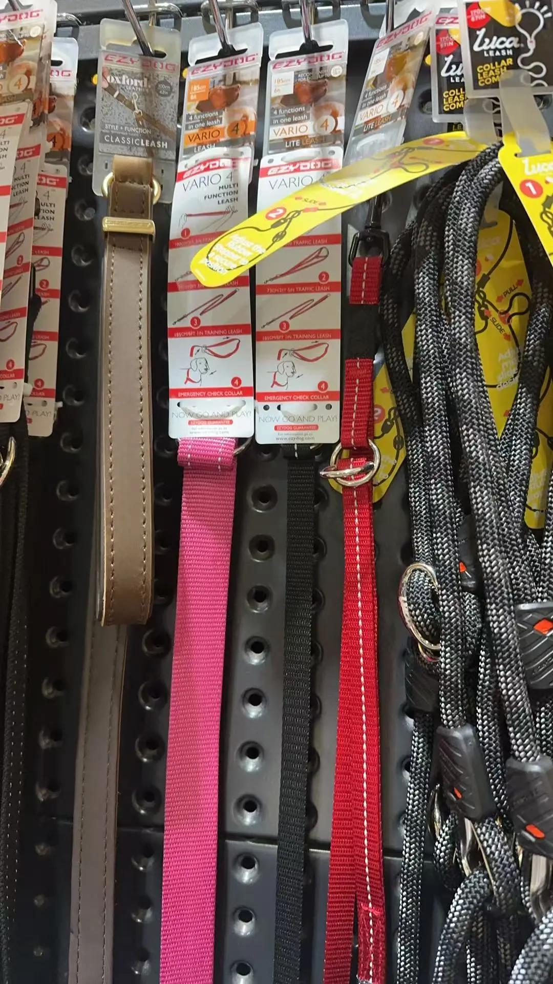 ??澳洲连锁宠物探店?