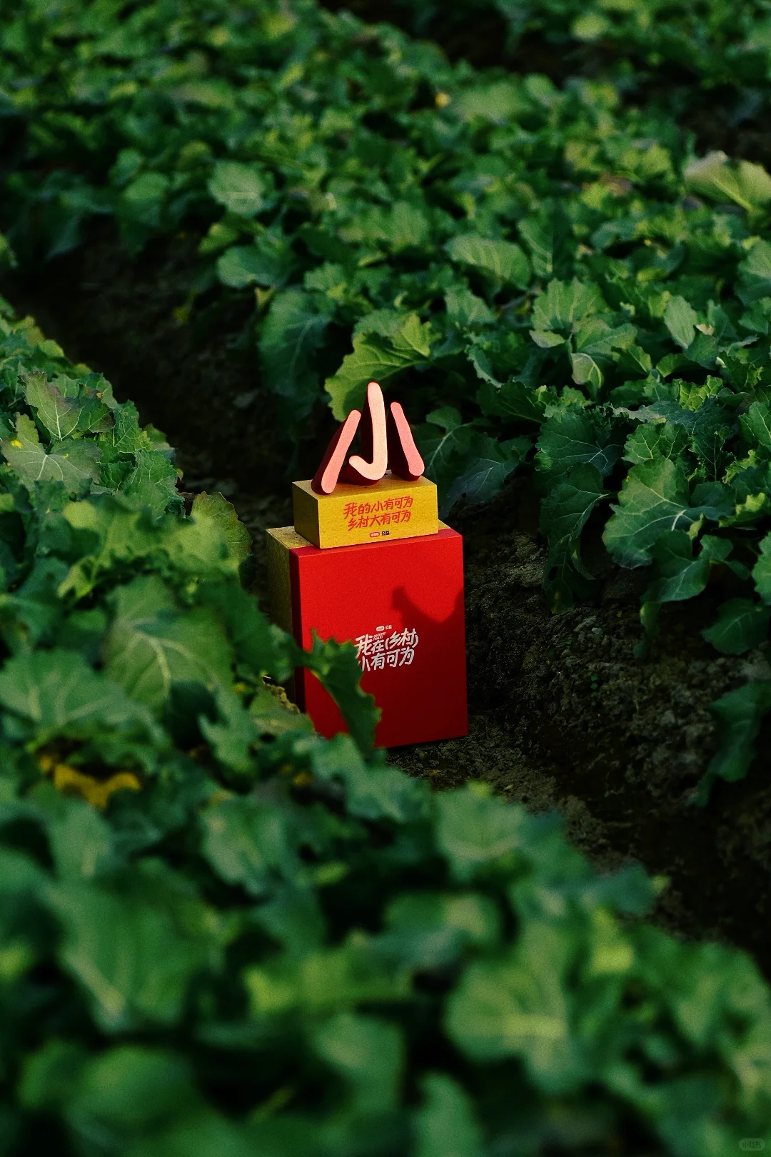 城里来的游客把小作坊年糕厂干成流水线了