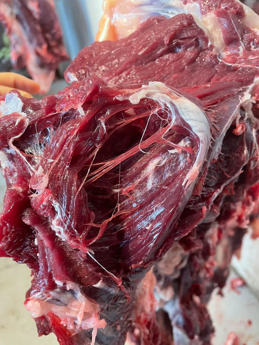 黄膘牛肉货源稳定