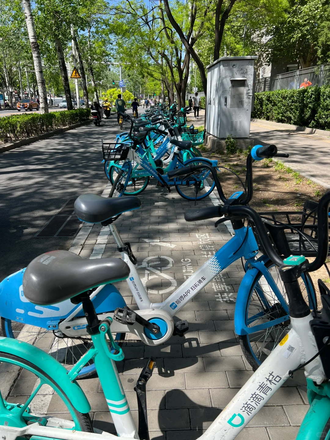 低碳出行 绿色心动