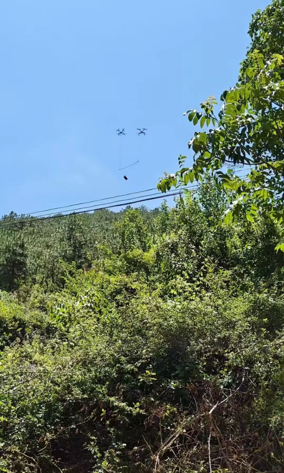 解锁无人机新技能!当“空中搬运工”