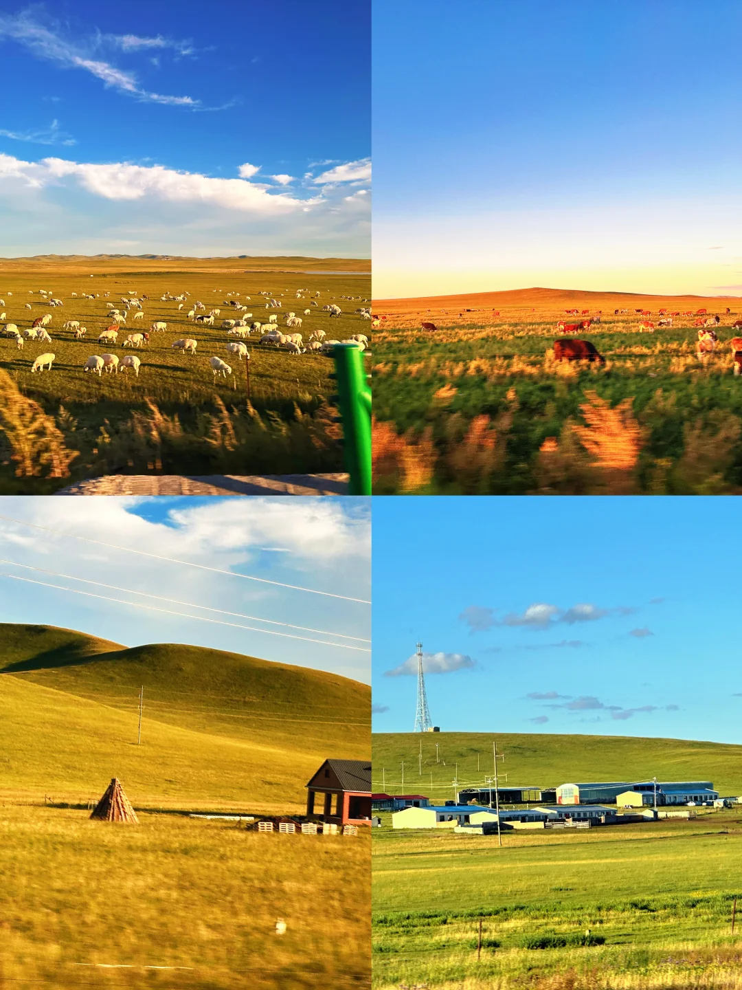 锡林郭勒盟 锡林呼和浩特市