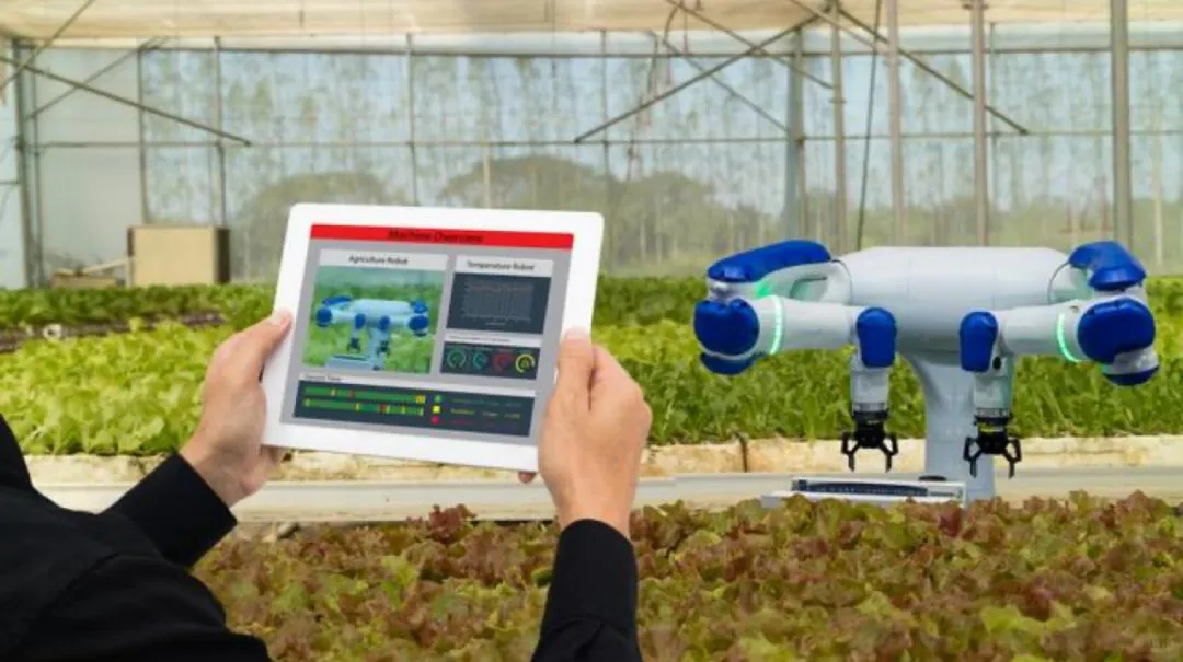 当AI应用于农业，当农民也可以很幸福