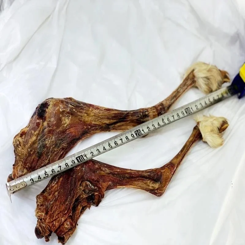 无添加宠物零食有前景吗⁉️