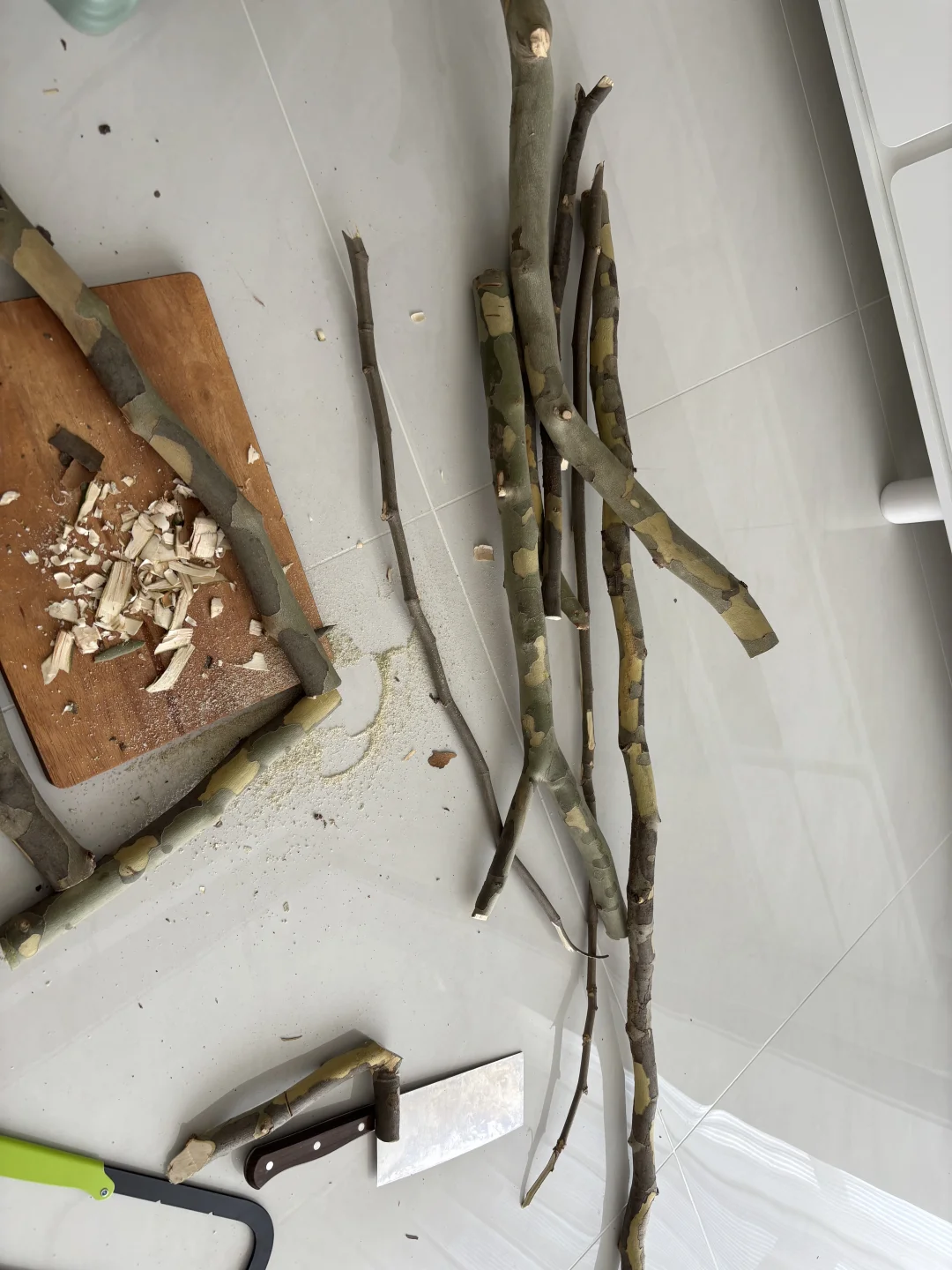 路边的树枝diy 手工