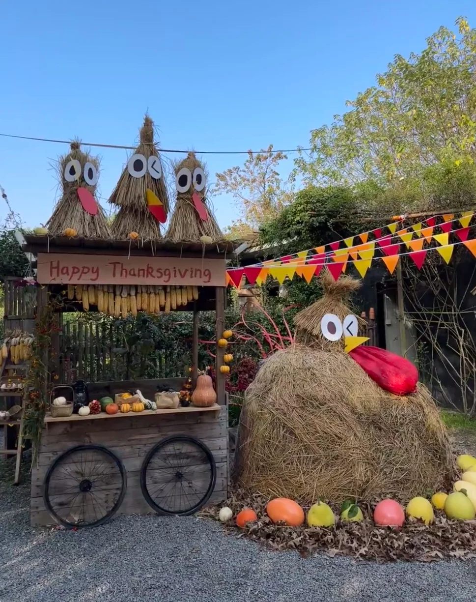 农文旅/农庄策划起盘怎么选一个赚钱的项目?