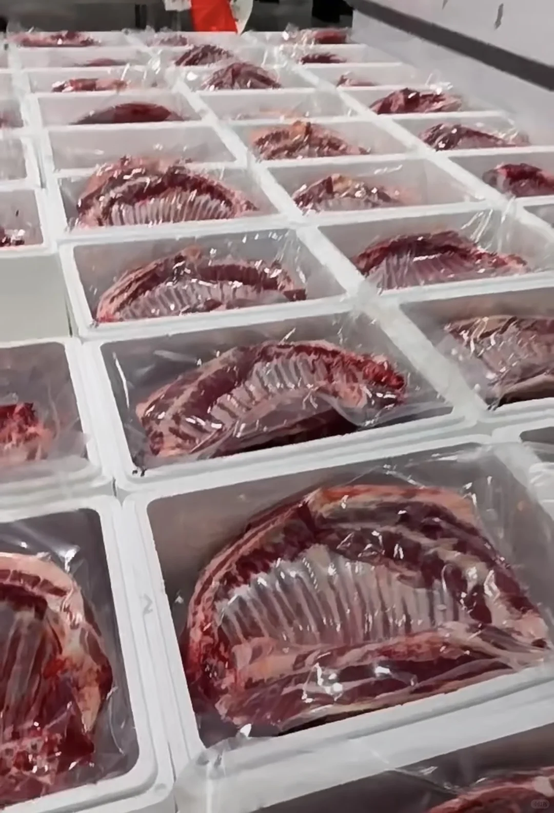 新疆草膘牛羊肉批发???