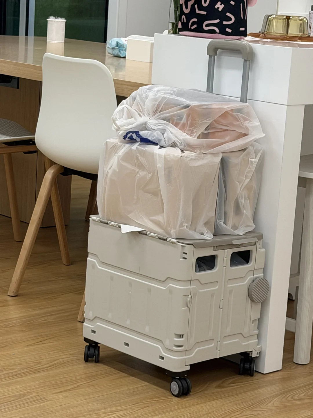 双非大四出海实习｜小而美神仙岗可内推‼️