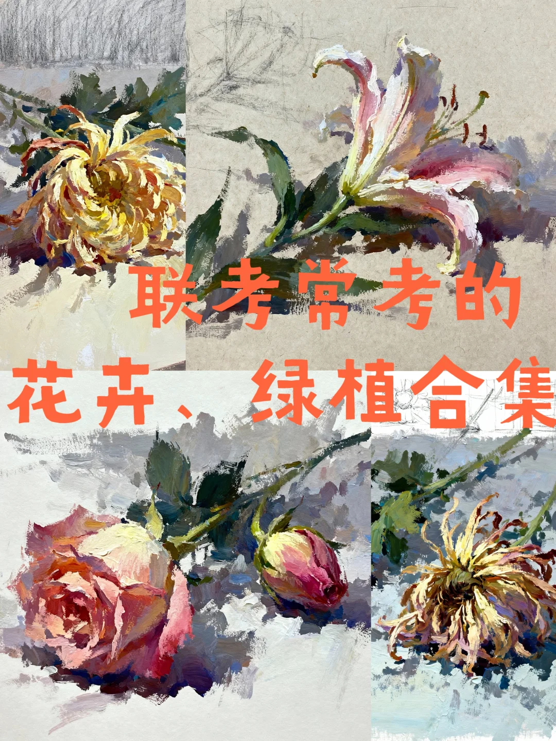 花卉绿植联考常考的花卉合集