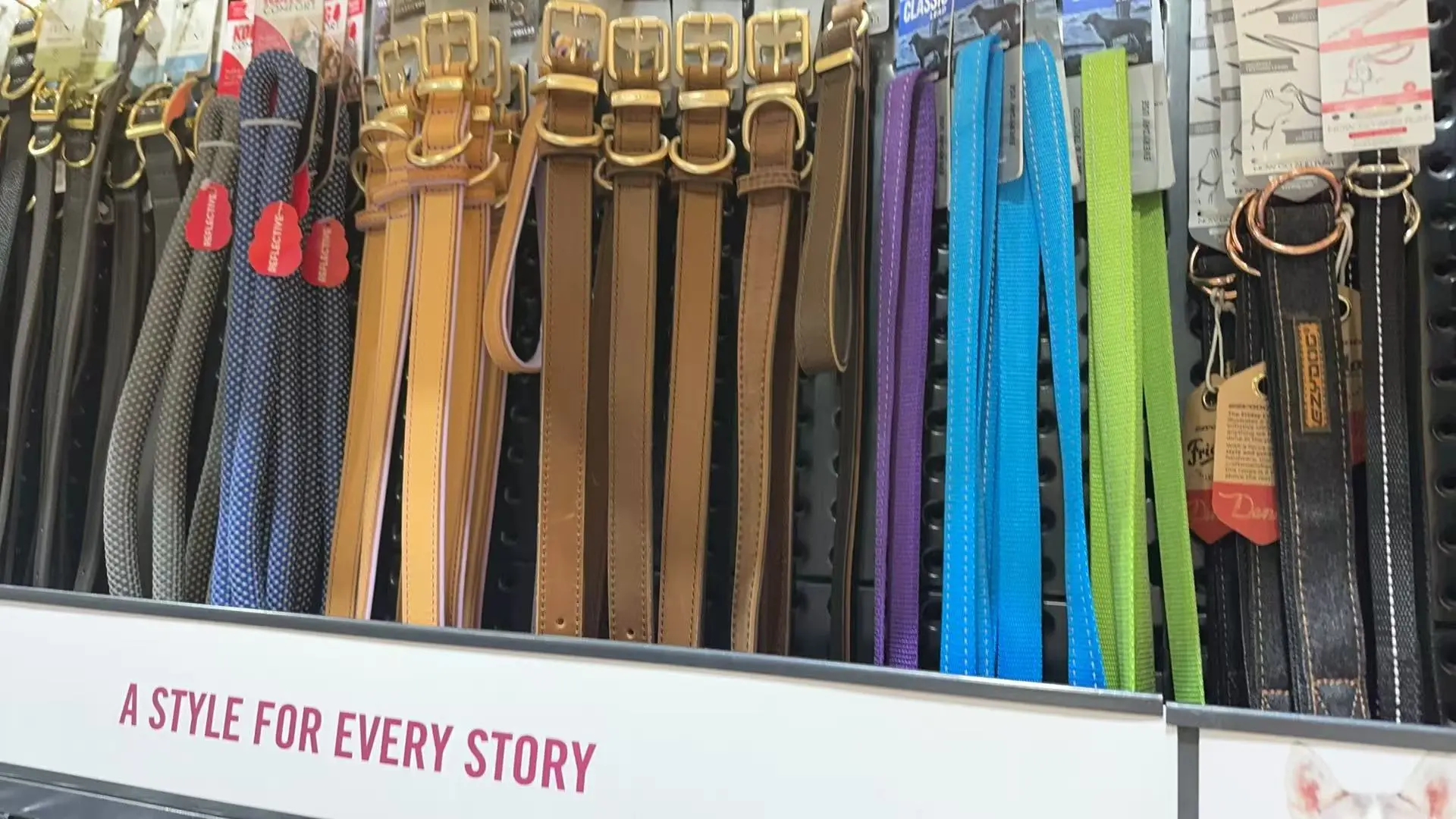 ??澳洲连锁宠物探店?