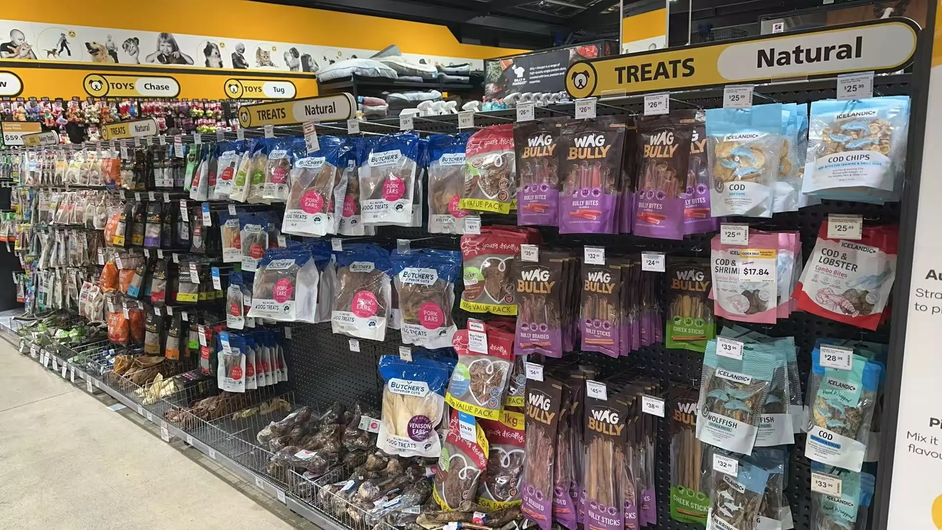 ??澳洲连锁宠物探店?