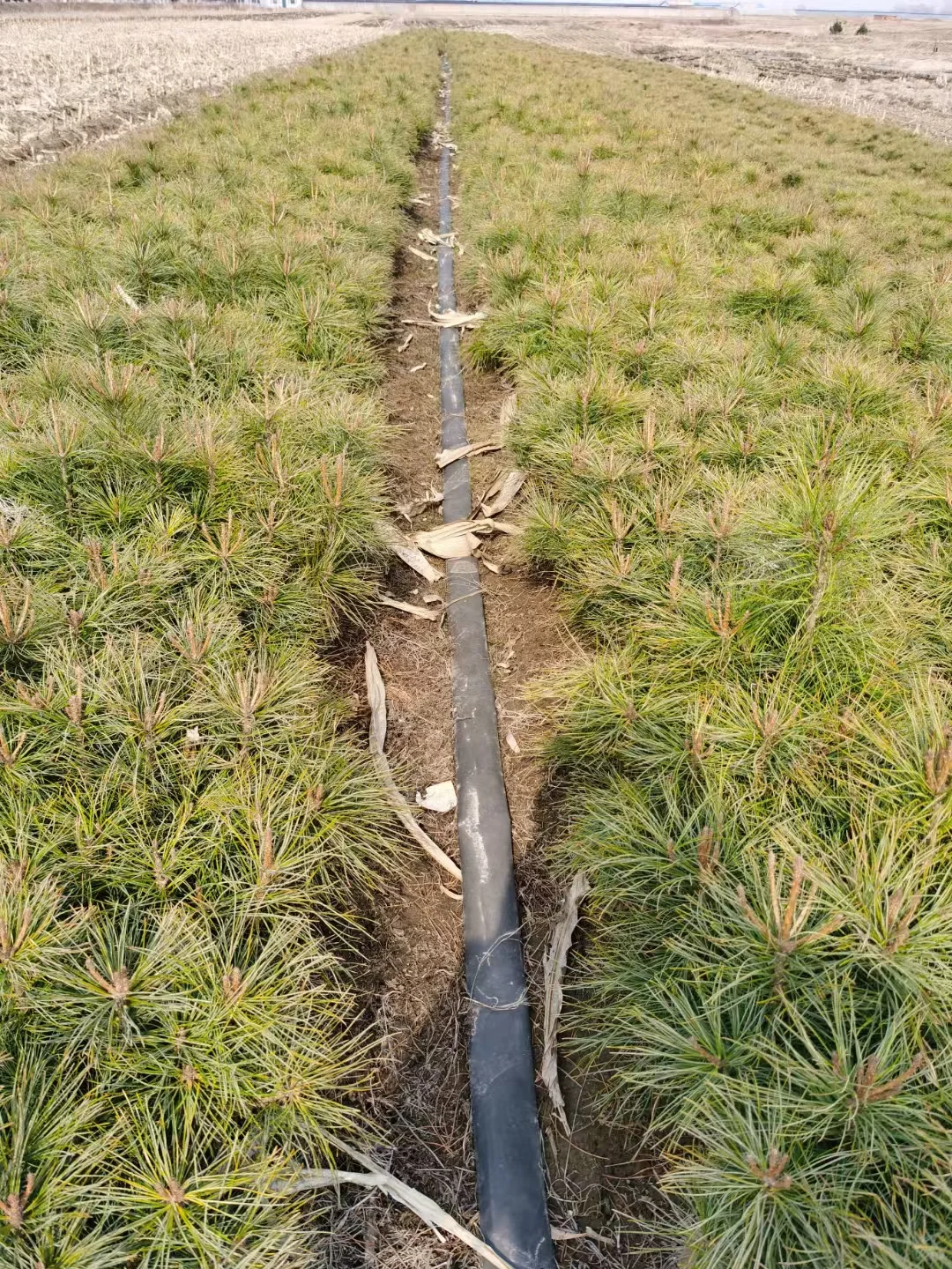 走过路过的各位老板来瞧一瞧看一看