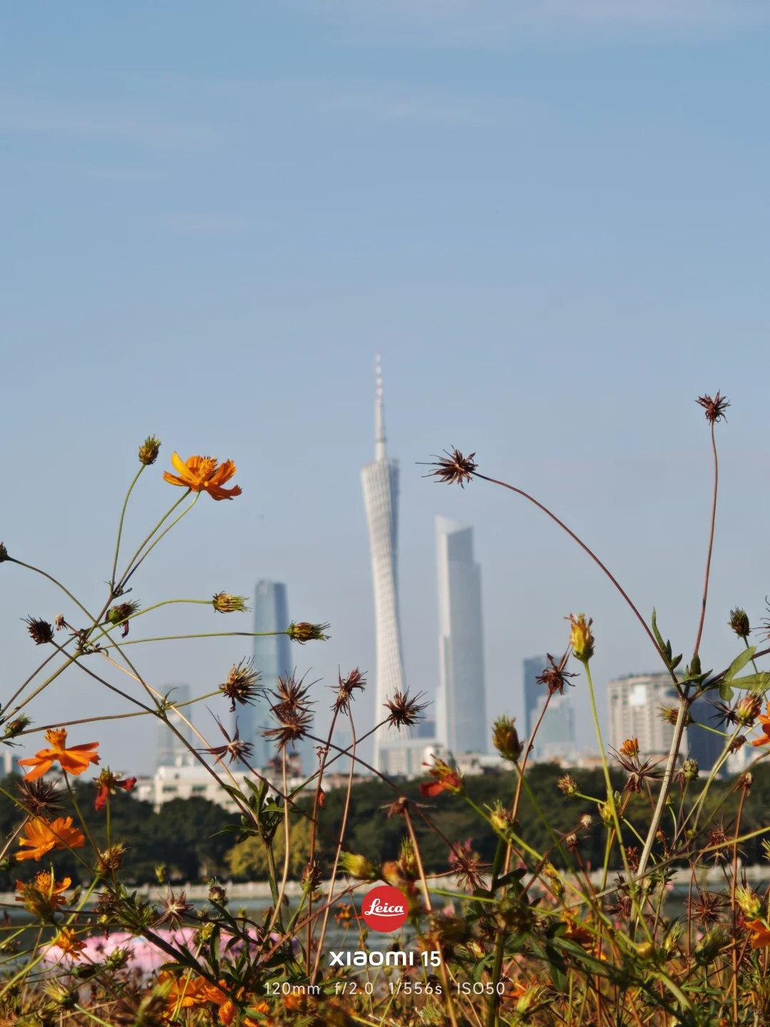 来考健康管理师啦