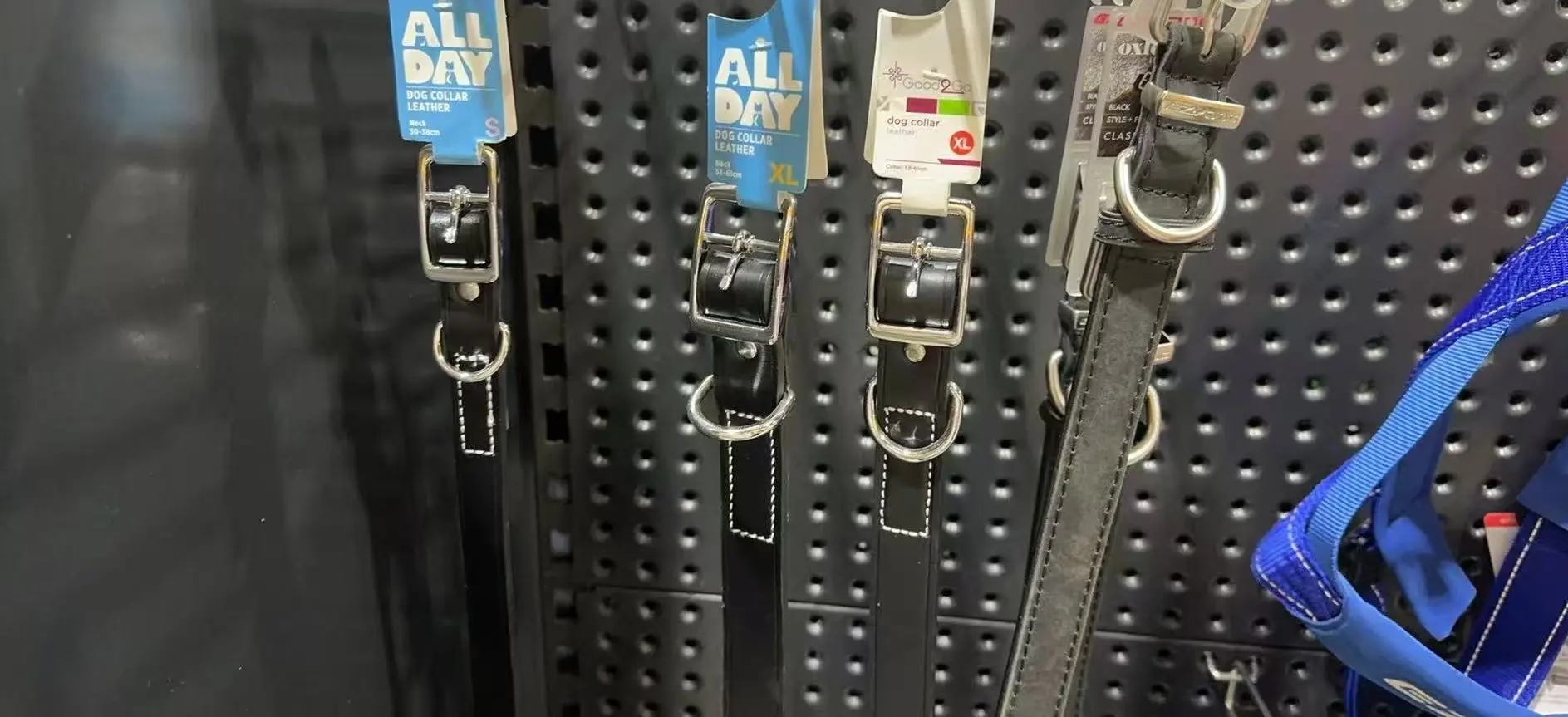 ??澳洲连锁宠物探店?