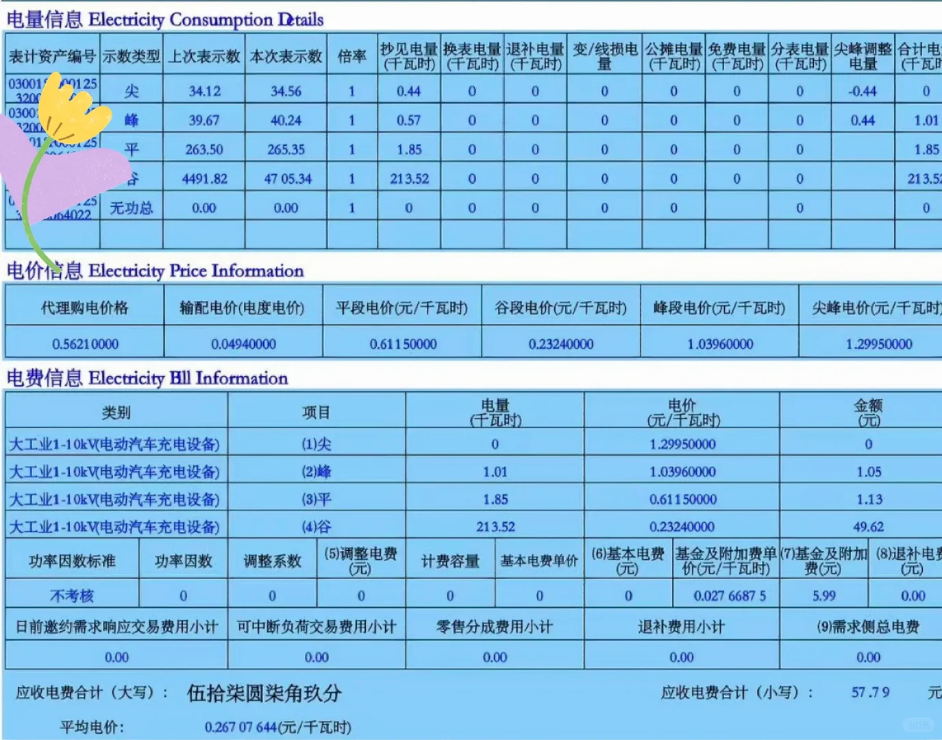 新能源抠门用车日记｜一个月50元电费