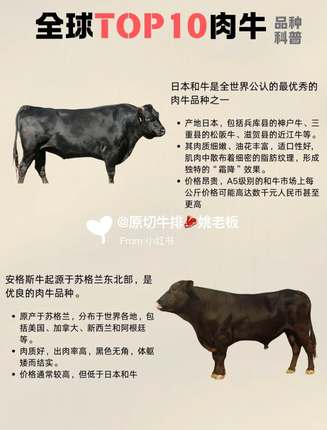 科普全球牛肉品种大合集！