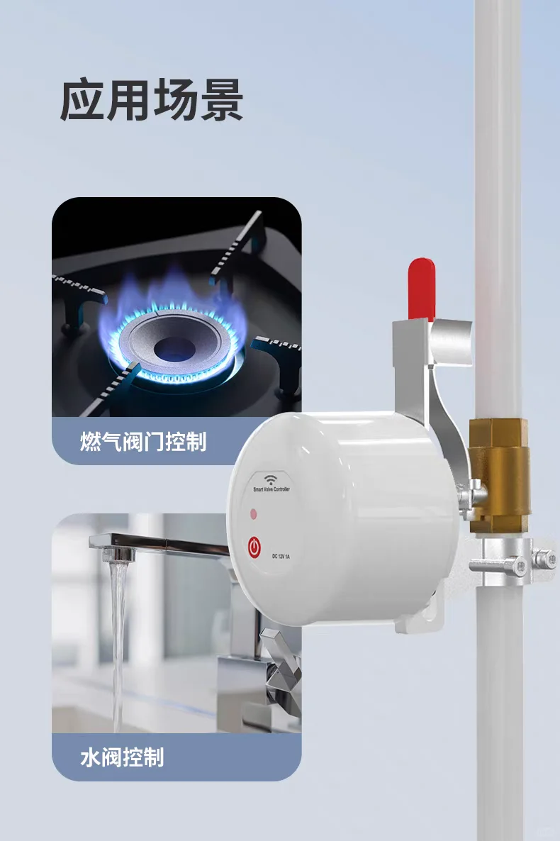 无忧无虑出门玩耍,全靠它俩