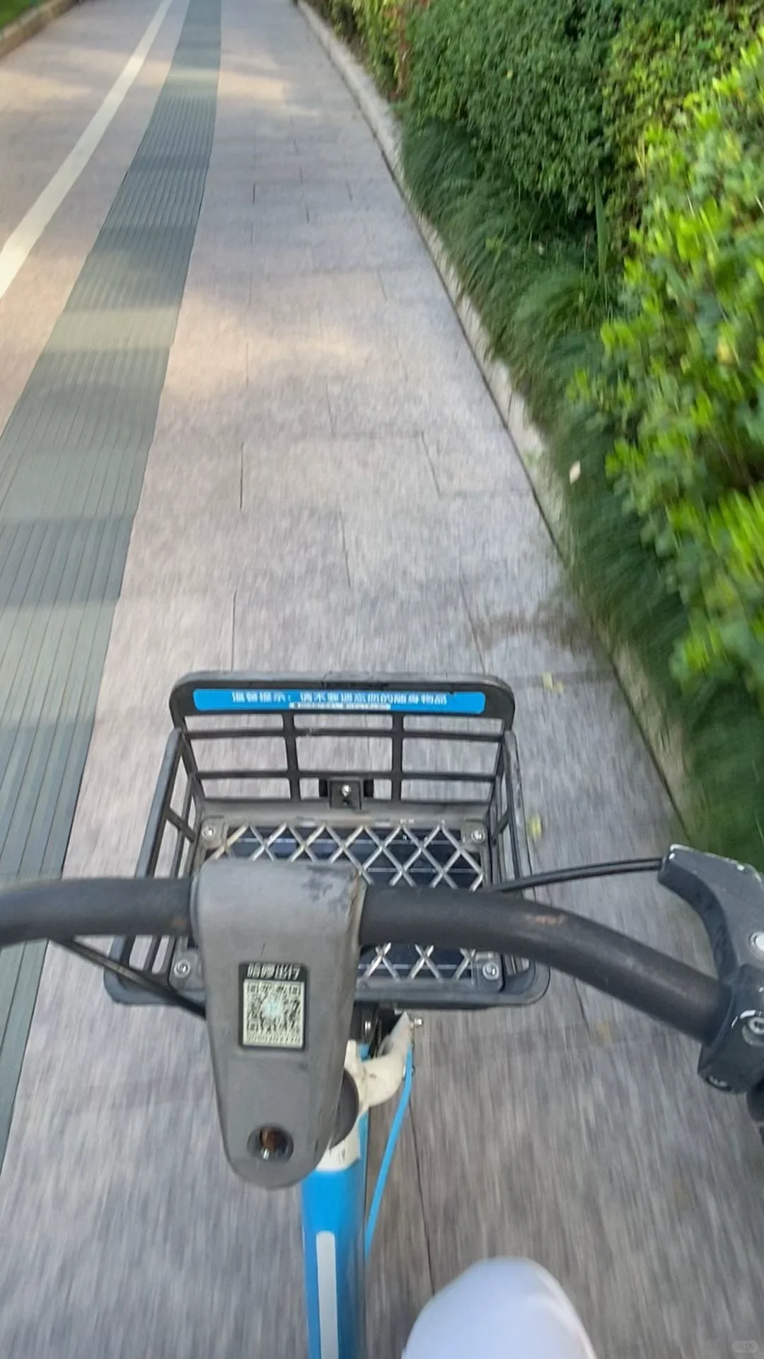 低碳生活打卡Day1