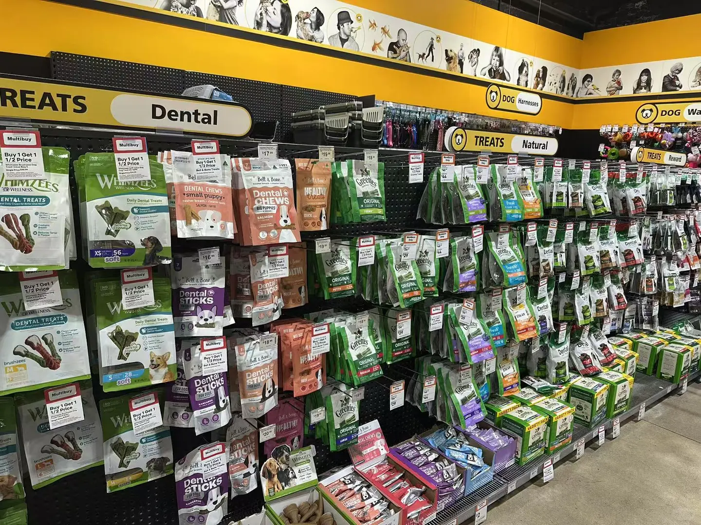 ??澳洲连锁宠物探店?