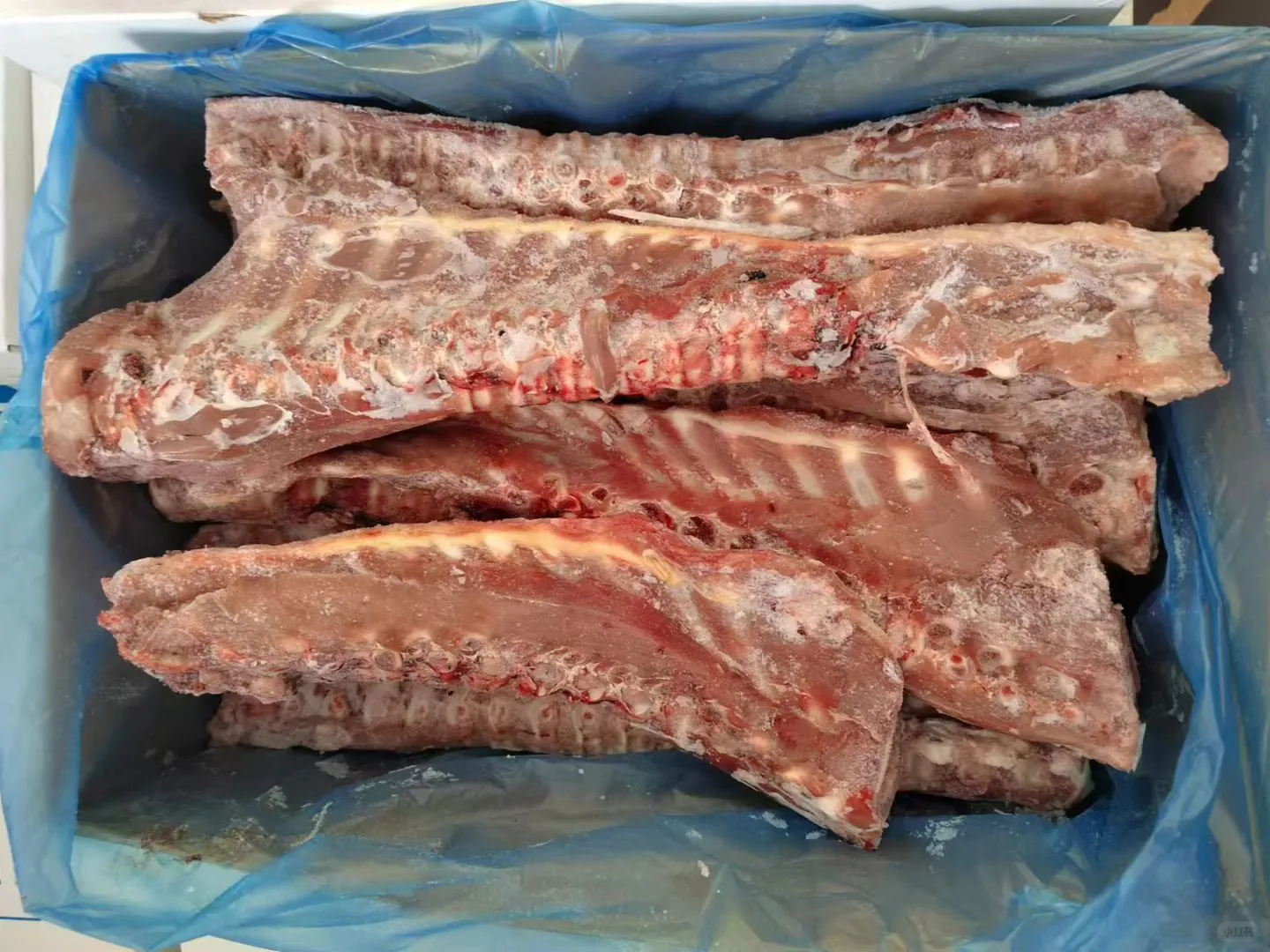 新西兰80犊牛产品