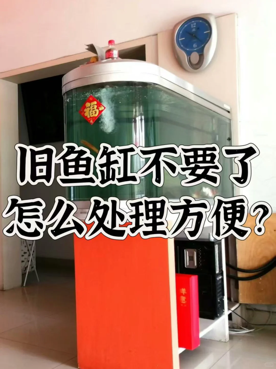 旧鱼缸如何处理方便！