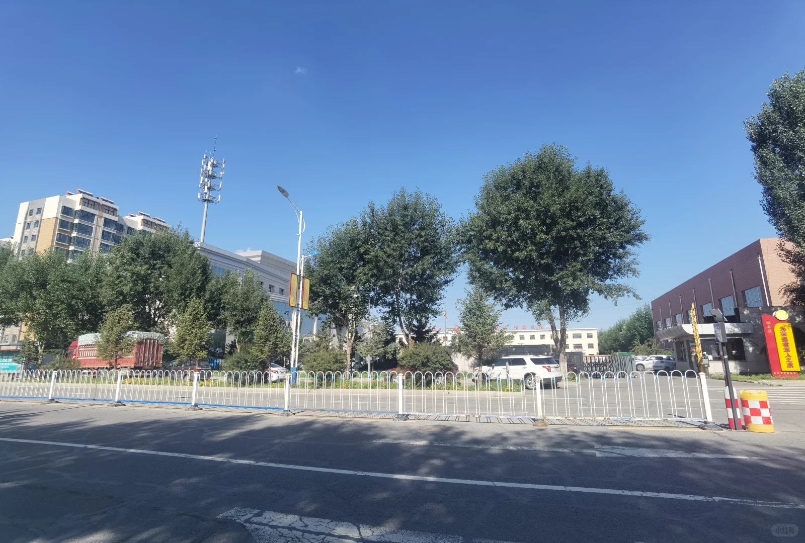 ＃免费 免费 免费公交＃