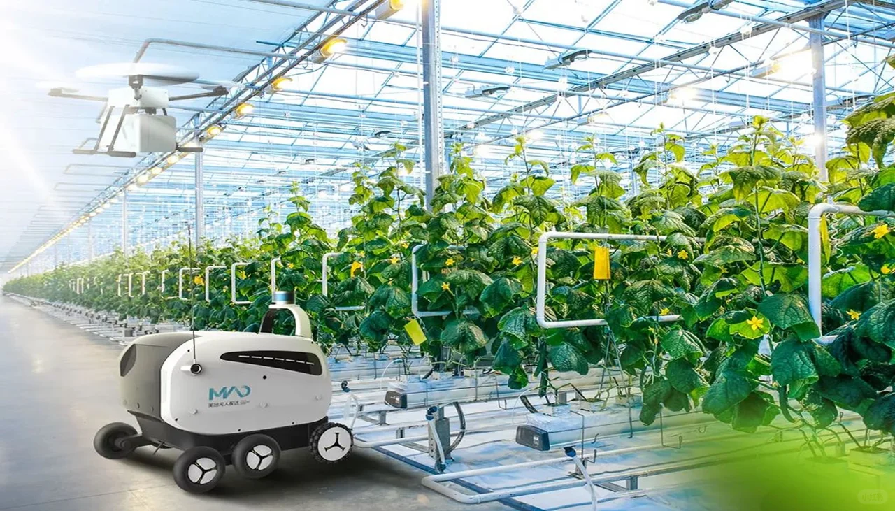 农业智能：定义、应用与未来