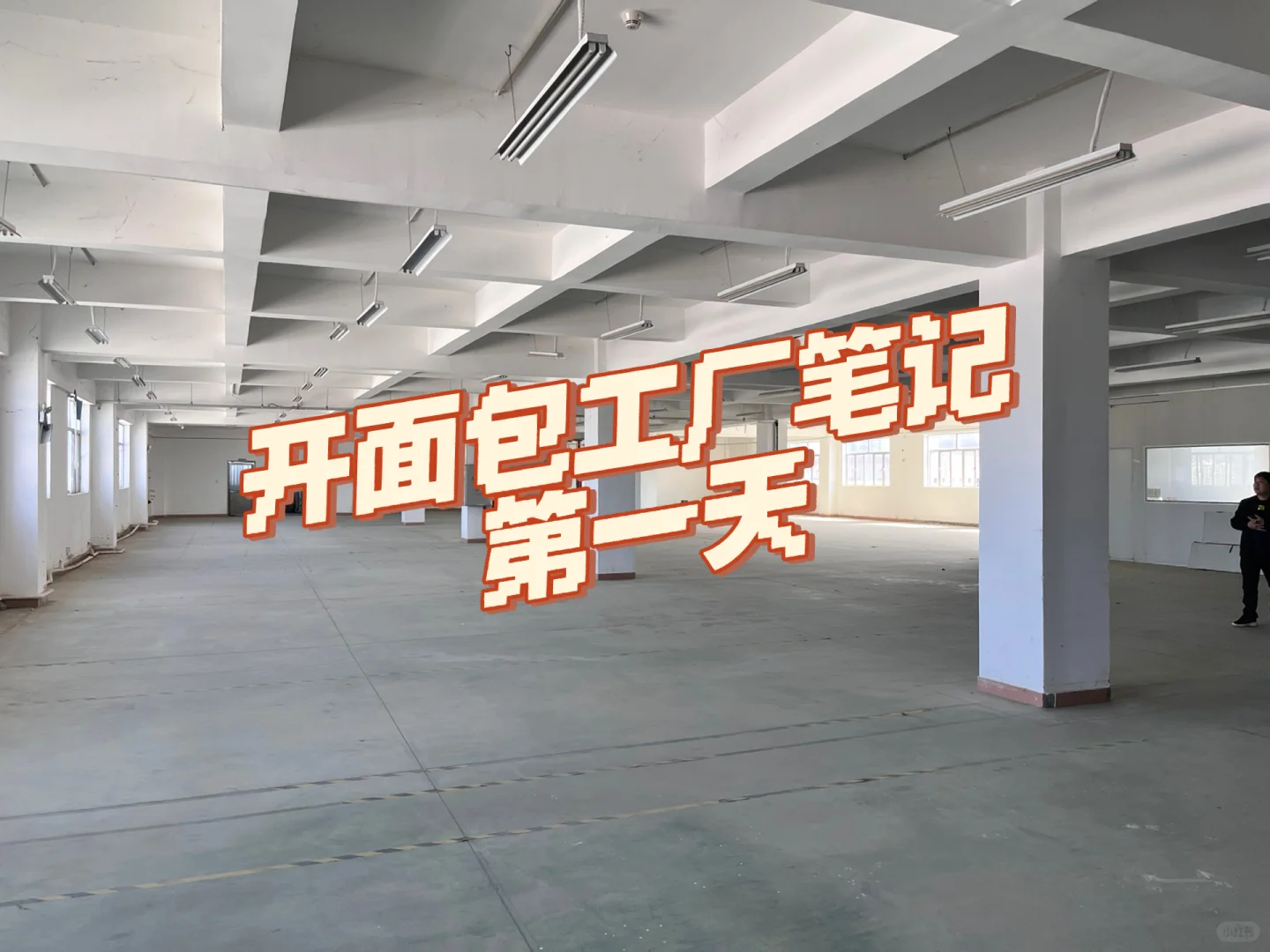 关于我要开1000+平米的面包工厂的第一天