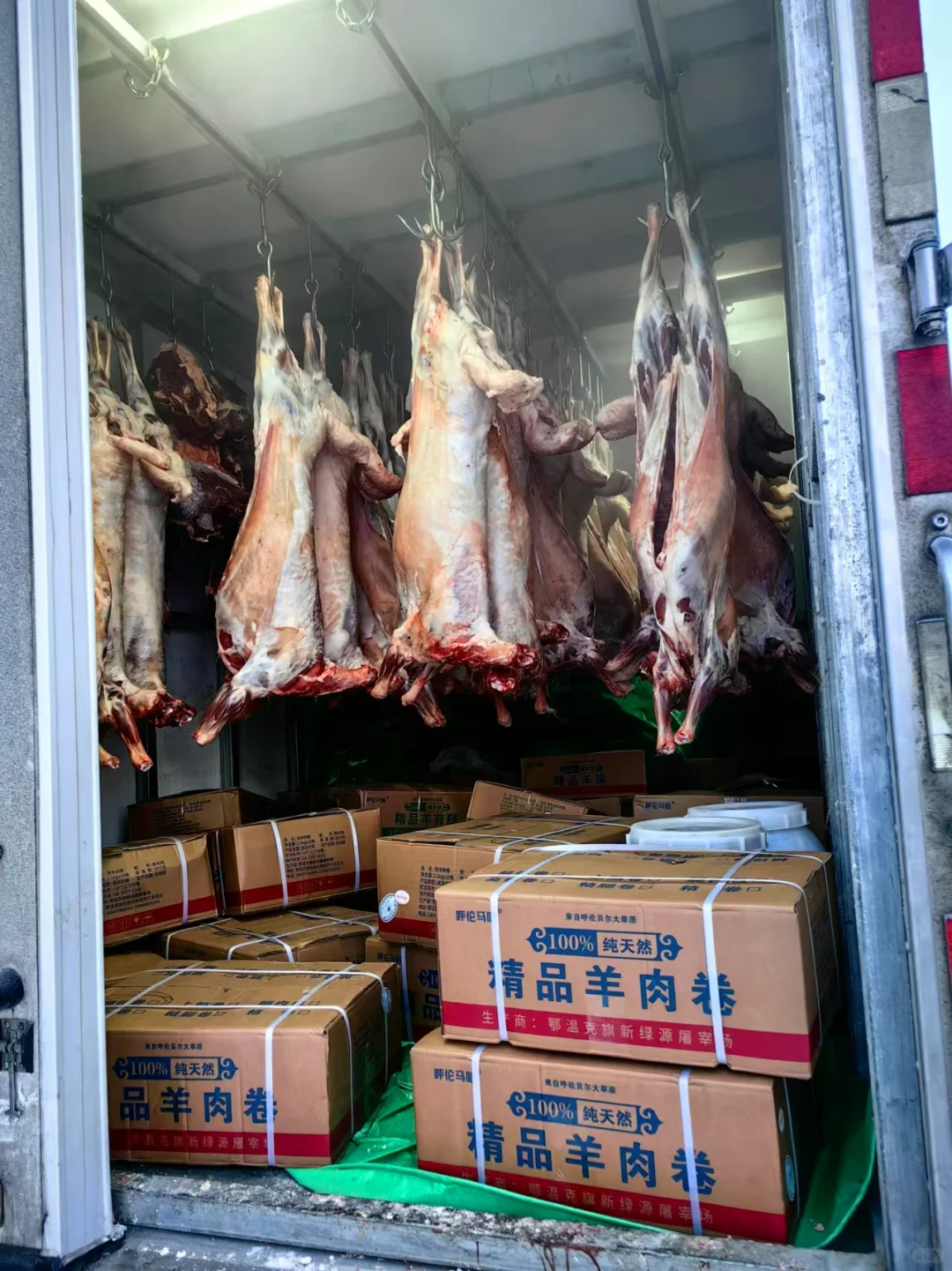 创业开店看过来 呼伦贝尔黄膘牛肉